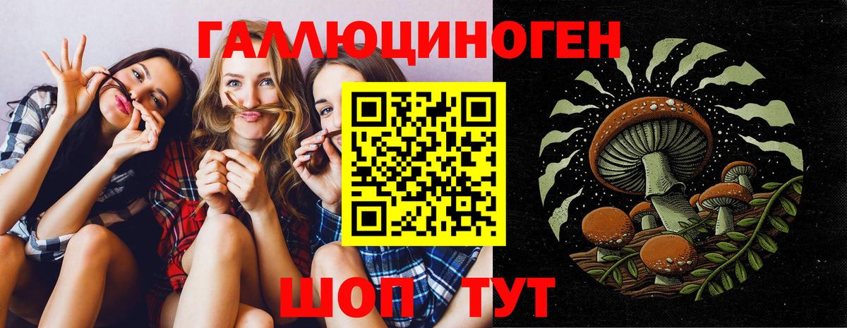 Псилоцибиновые грибы Magic Shrooms Мурино